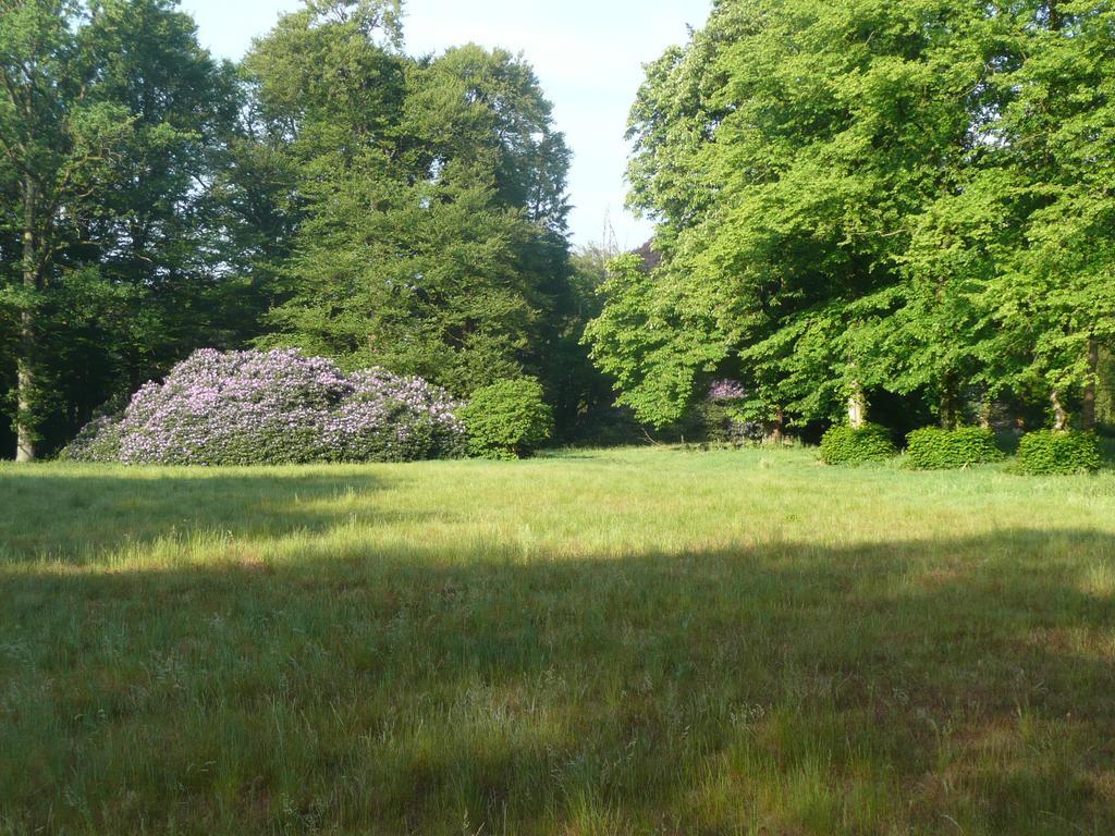B&B En Boshuis Darthuizerpoort Leersum エクステリア 写真